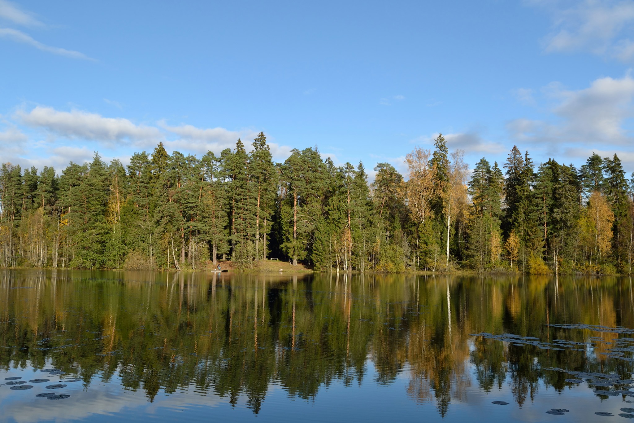 Nelijärve-Aegviidu-Jäneda matk 14km