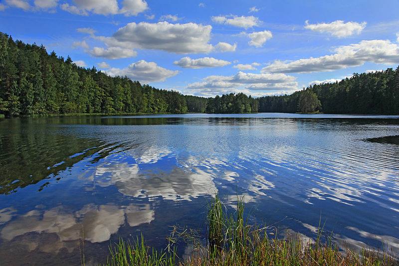 Viitna järvede kogupere matk 9km