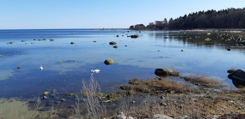 Viimsi poolsaare matk 10km